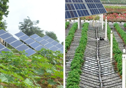 Bơm nước điện mặt trời